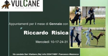 utilità e difesa riccardo risica utilità e difesa riccardo risica