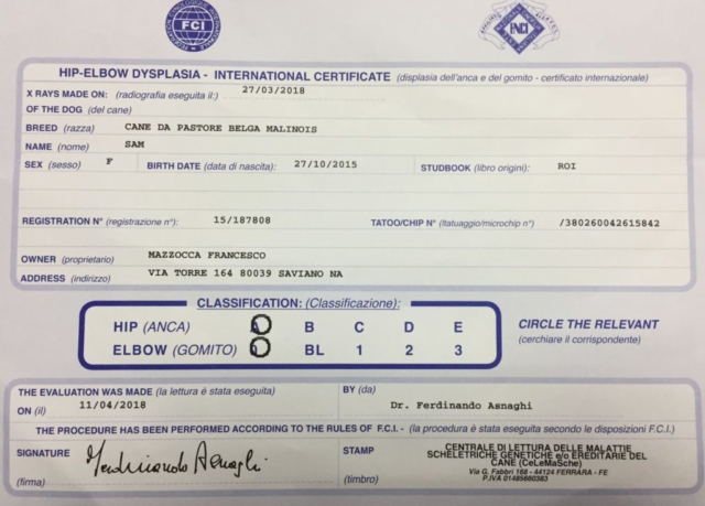 certificato ufficilae sam