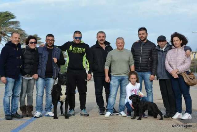 raduno sacc grosseto 2016