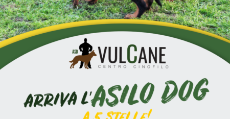asilo-dog nola napoli asilo-dog nola napoli