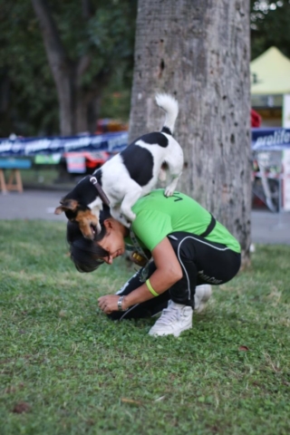 agility dog