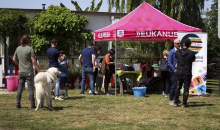 Let’s Move Articolo Sanvitaliano.net