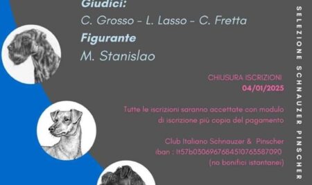Selezione Schnauzer e Pinscher
