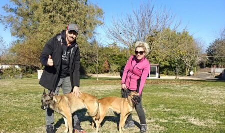 Cuccioli pastore belga Malinois