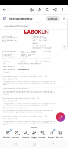 Screenshot_20251217_191826_Adobe Acrobat