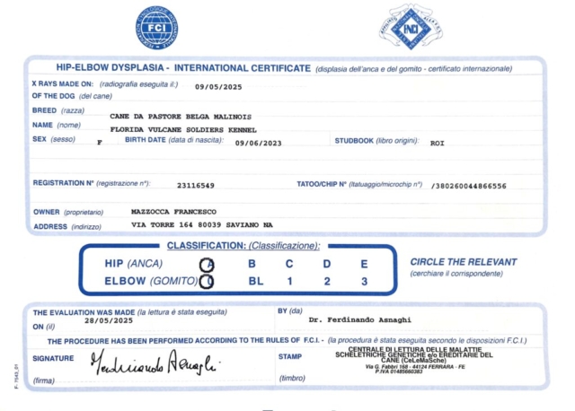 certificato florida