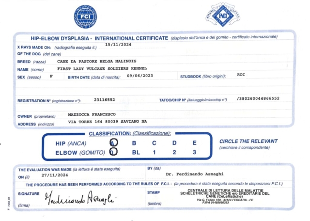 certificato lady